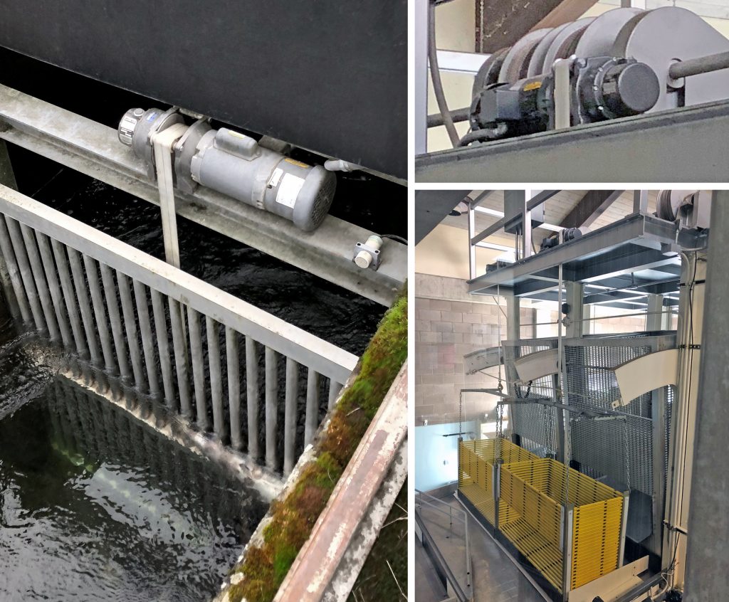 Columbia HD900-4A34-X-15 Marine Strap Hoists